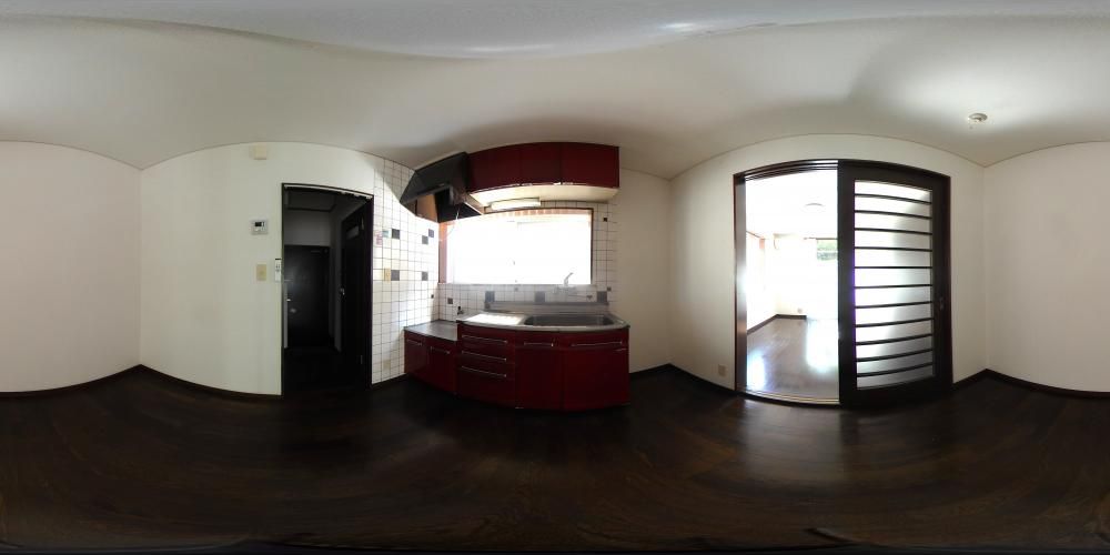 �_�C�j���O