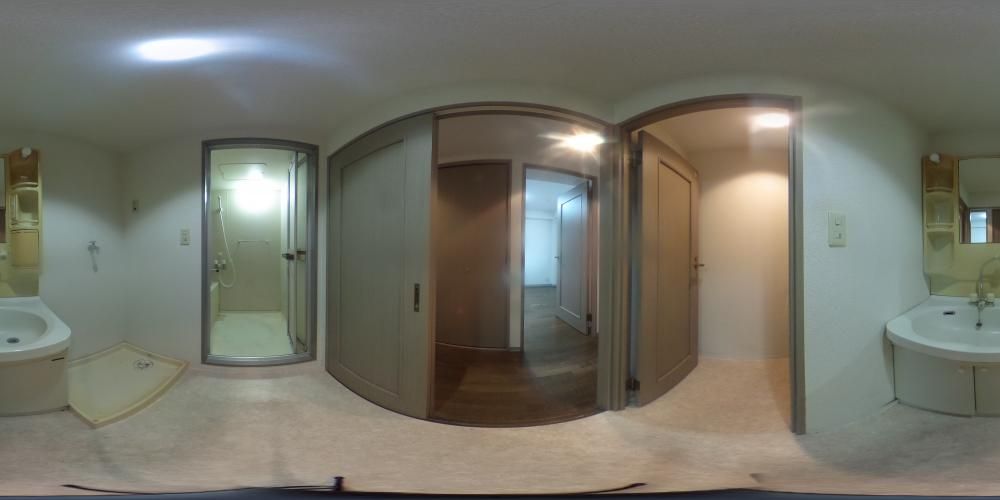 ���ʏ�
